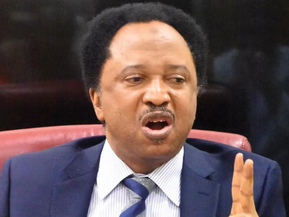 Shehu Sani mocks El-Rufai for missing out in Tinubu's appointments