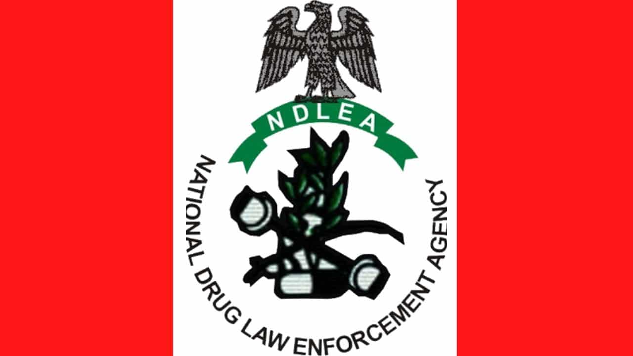 Nigeria Marijuana, different from that of US, UK, others - NDLEA