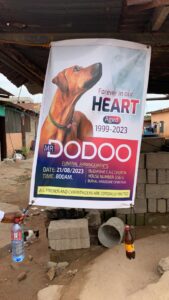 24-Yr-Old Dog That Died In Ghana