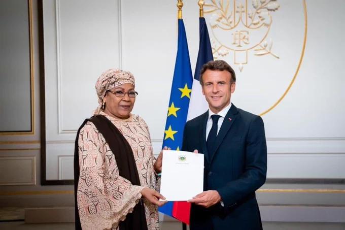 Niger Ambassador To France