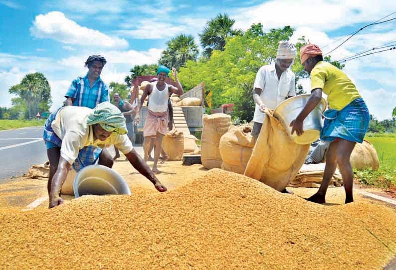 Rice Mills In Nigeria Closedown After India’s Ban On Rice Exports