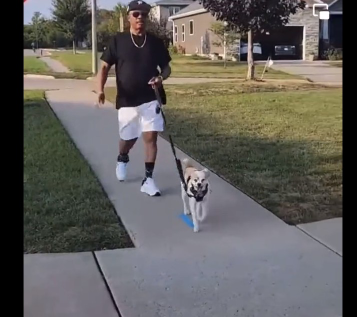 Willie Obiano, Spotted Walking With His Dog In USA