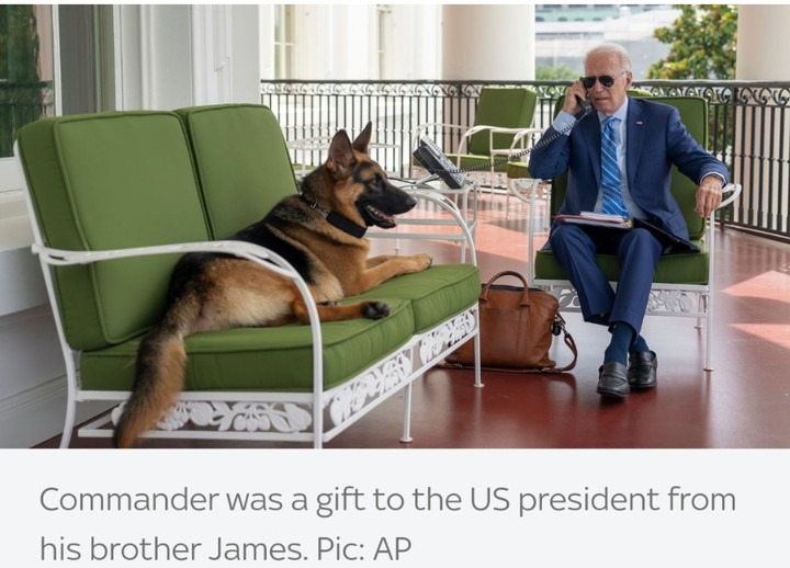 Joe Biden's Dog, Commander, Removed From White House After Biting secret Agents