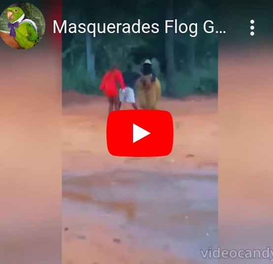 See How Masquerades Flog Young Lady as Boyfriend Tries to Save Her