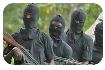 Niger Communities Deserted as Bandits Turn Kainji Park into Terrorist Haven