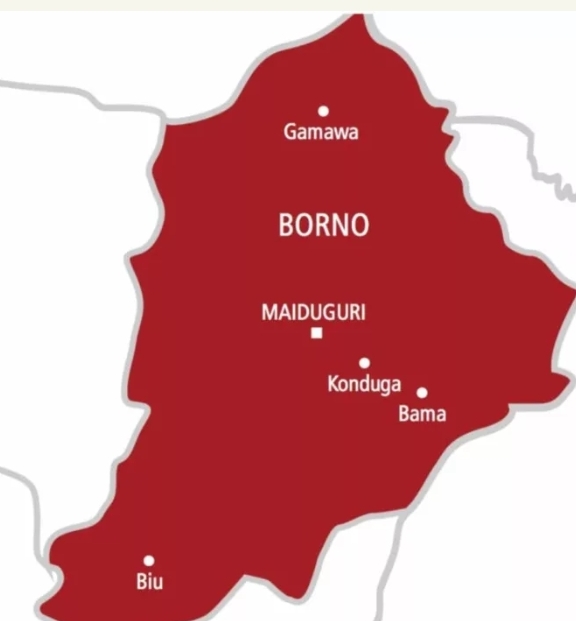 See the Numbers of Female Suicide Bombers Arrested After Multiple Explosions in Borno