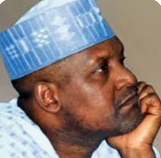 Dangote: Friend Who Warned Against Investing in Nigeria Now Taunts Me