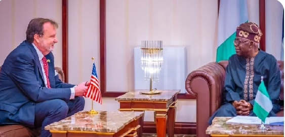 Tinubu Reaffirms Dedication to Democracy in Meeting with US Ambassador