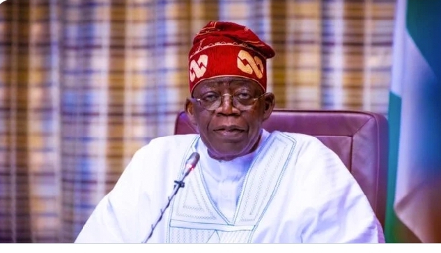 Tinubu Advocates for Collaborative Efforts to Boost Economic Growth