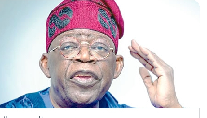 NESG: Prioritizing Economic Diversification for Progress — Tinubu