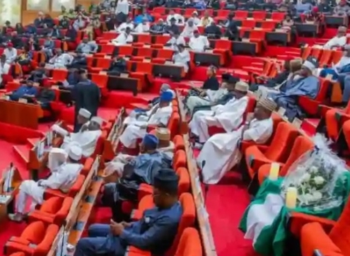 Senate Suspend Plenary for Two Weeks from January 14; See Reasons 