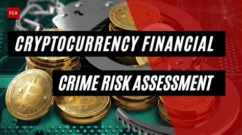 Risk Assessment in Cryptocurrency: