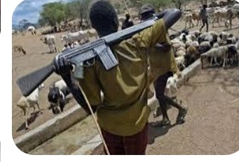 Six Killed as Herdsmen Attack Ugbaam Village, Benue State, Soldiers Withdraw from Scene