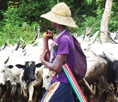 Abia Traditional Ruler Raises Concern Over Large-Scale Land Purchases by Suspected Herdsmen