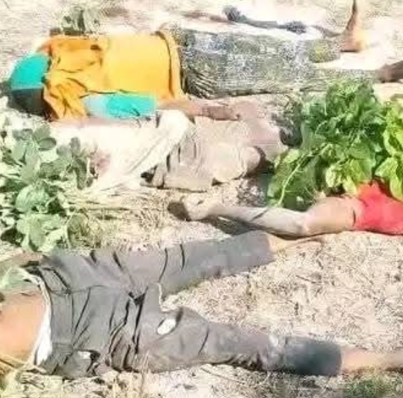 Tragedy in Benue State: Suspected Herdsmen Attack Leaves Eight Dead in Jootar, Ukum LGA